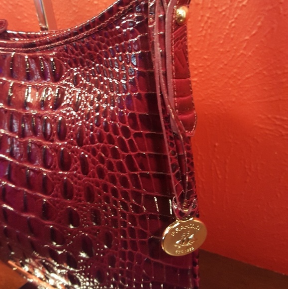 Brahmin Jody - Picture 3 of 8